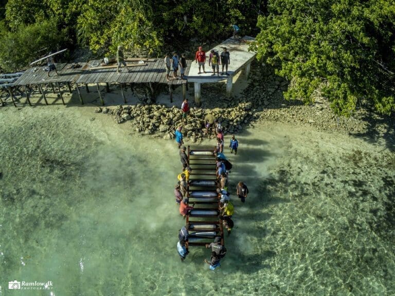 Rejseartikler – Lokale arbejdere bærer trappe på plads ved Sorido Bay, Raja Ampat på øen Kri